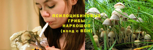 амф Балахна